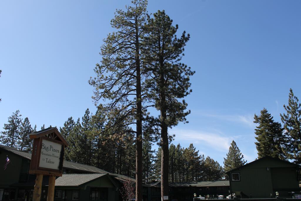 Big Pines Mountain House Motel South Lake Tahoe Bagian luar foto